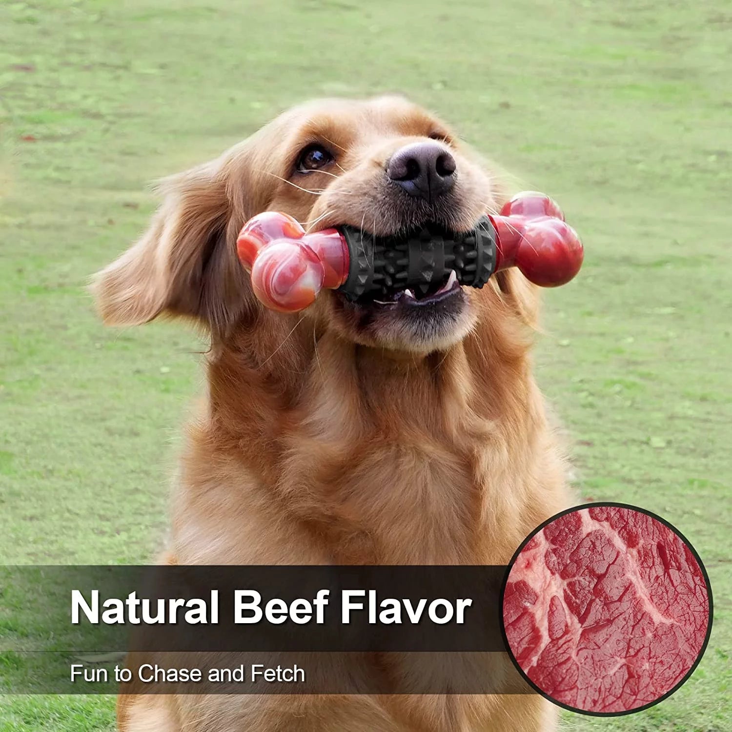 Indestructible Dog Toy – Durable Bone Chew Toy for Aggressive Chewers, Interactive Play for Medium & Large Dogs (Dinosaur Design)