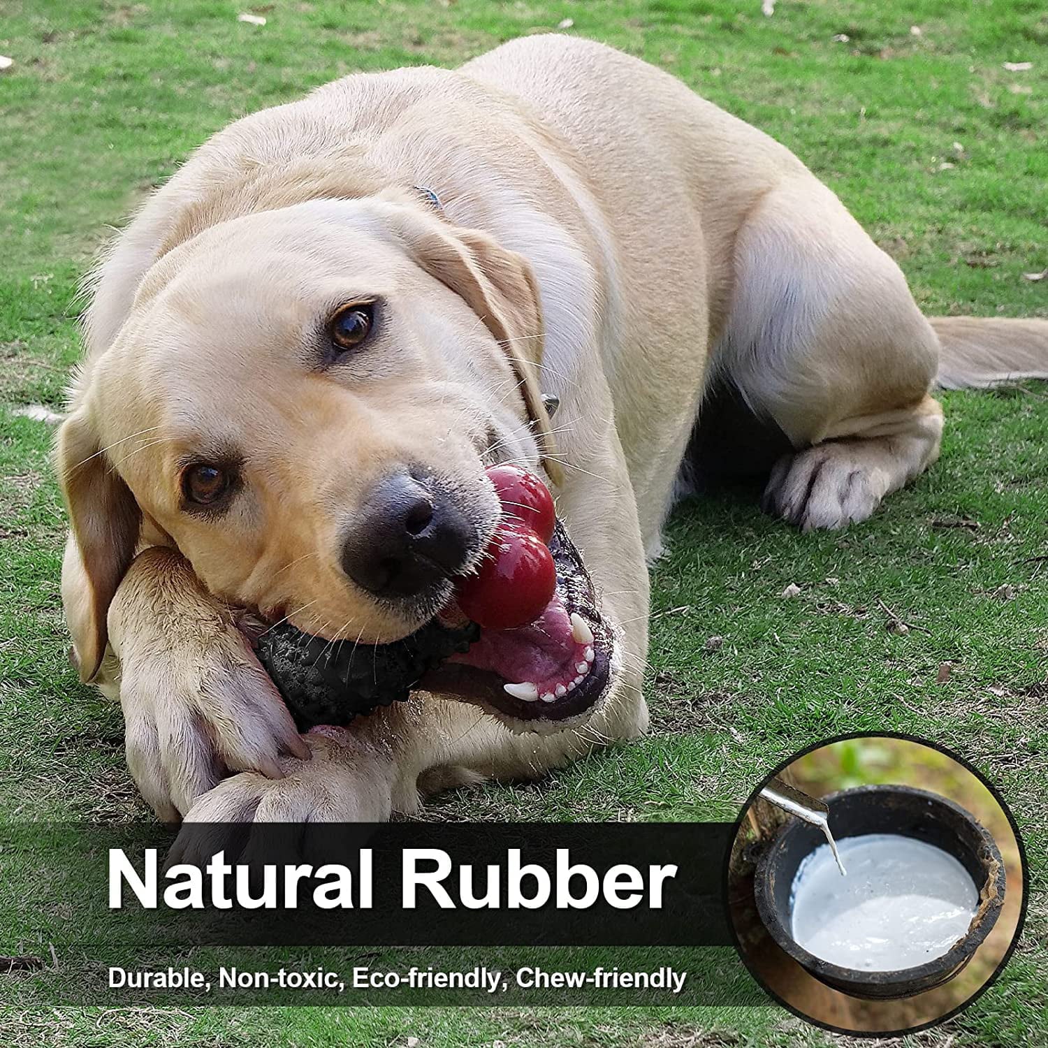 Indestructible Dog Toy – Durable Bone Chew Toy for Aggressive Chewers, Interactive Play for Medium & Large Dogs (Dinosaur Design)