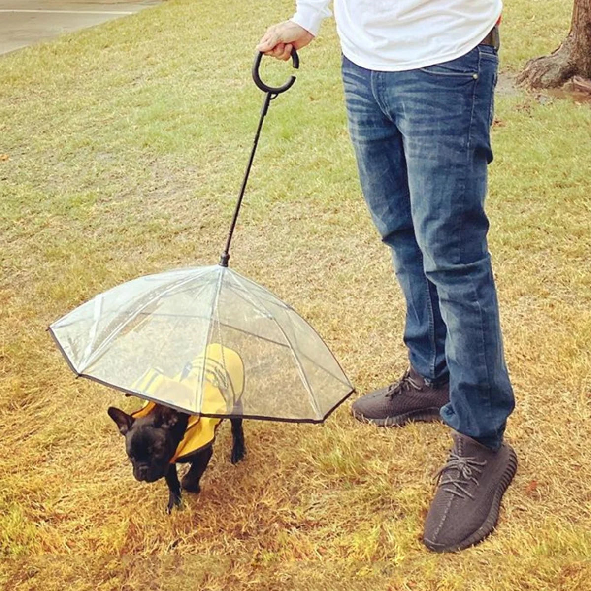 Clear Dog Umbrella with Leash – Pet Umbrella for Small Dogs & Cats, Rain Protection with Flexible Handle
