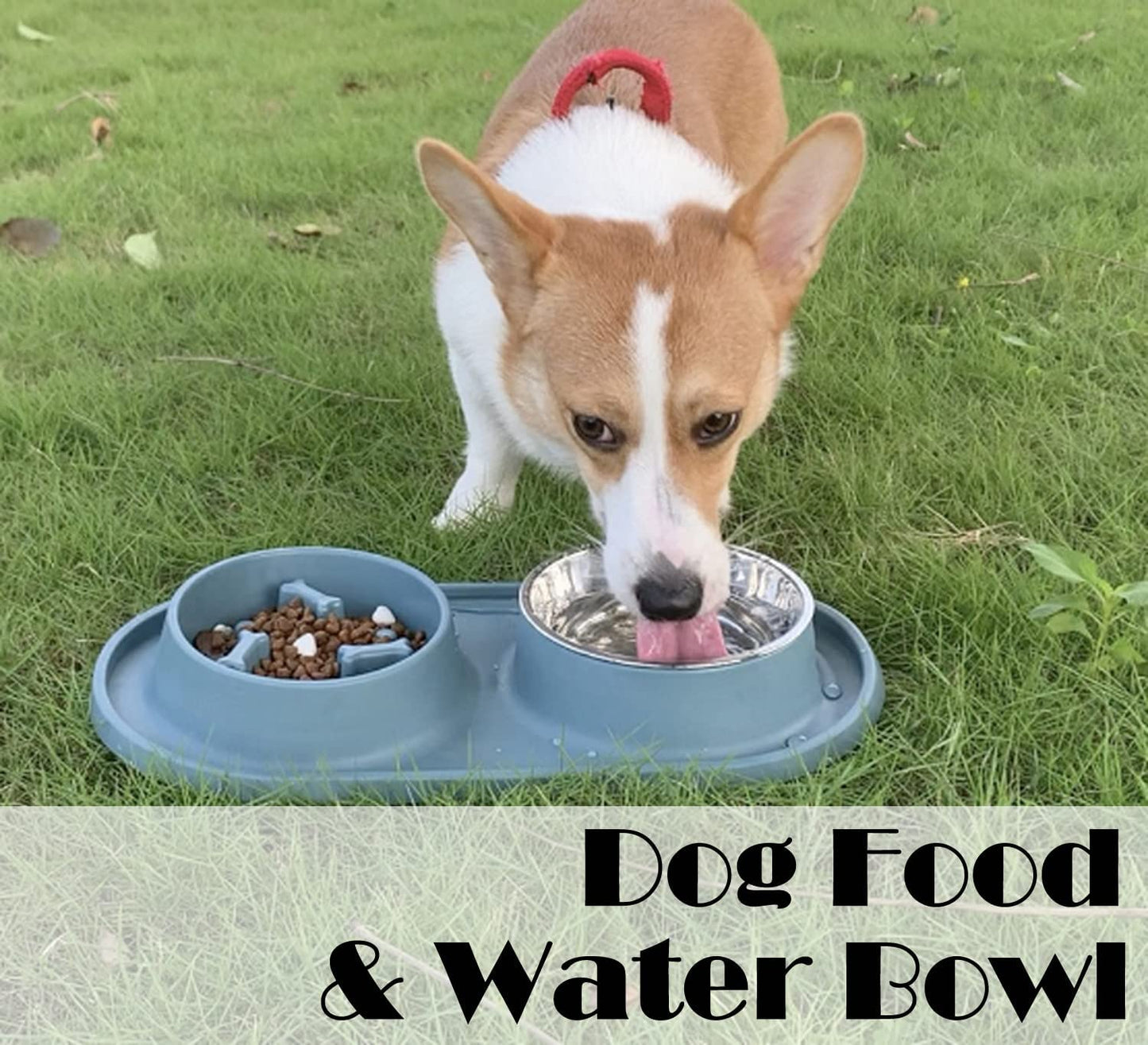 Dog Bowls Small Medium Sized Dog Food Bowl, Slow Feeder Dog Bowl Set, Stainless Steel Dog Bowls, Non-Skid Cat Dog Food and Water Bowls by (Navy)