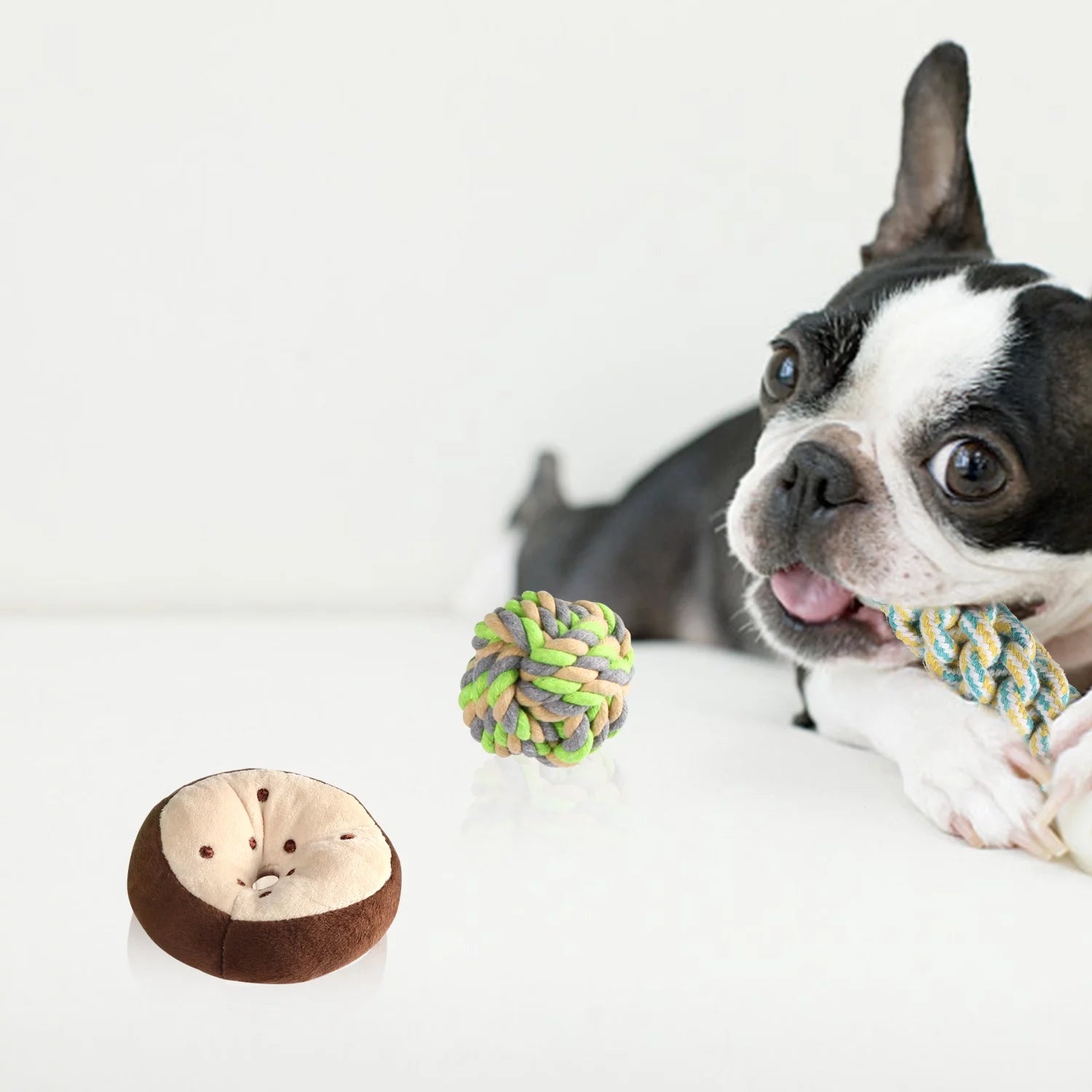 Dog Toy Set – 6 Pack Plush Squeaky & Rope Chew Toys for Small & Medium Dogs, Interactive & Teeth Cleaning