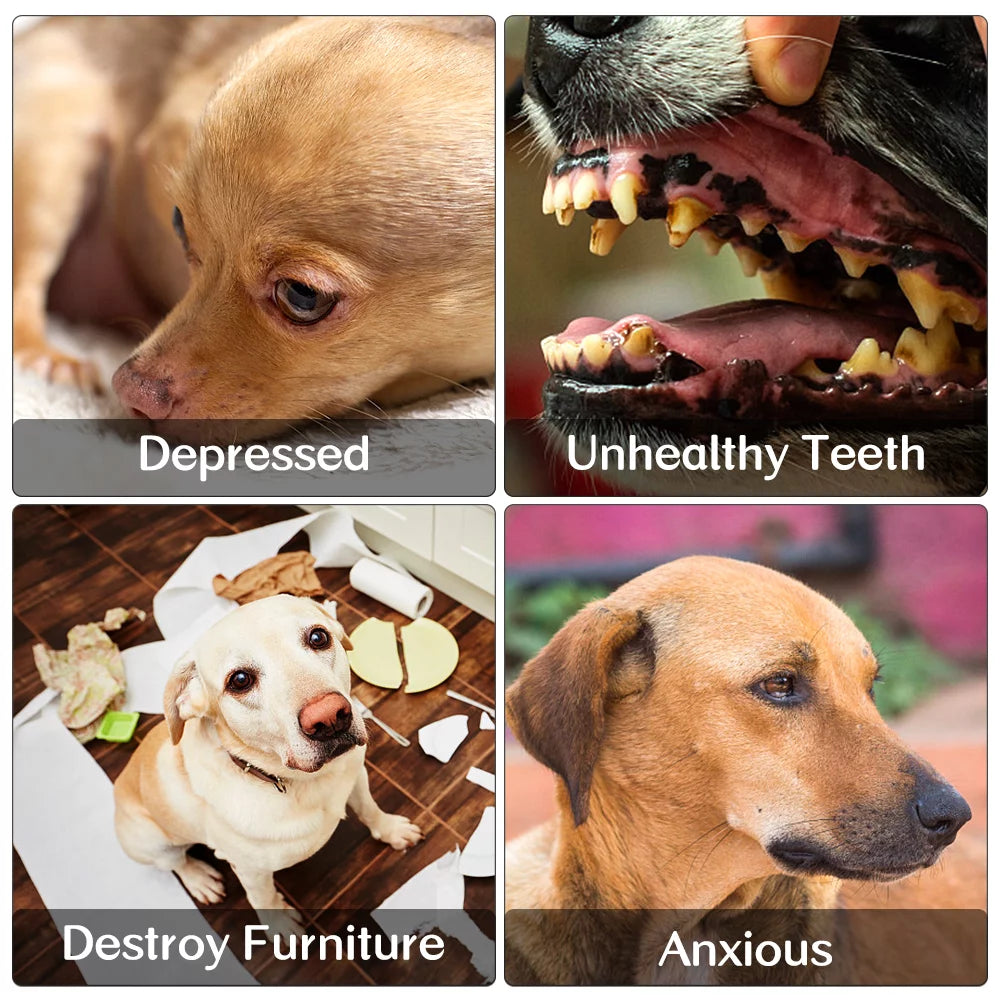 Dog Toy Set – 6 Pack Plush Squeaky & Rope Chew Toys for Small & Medium Dogs, Interactive & Teeth Cleaning