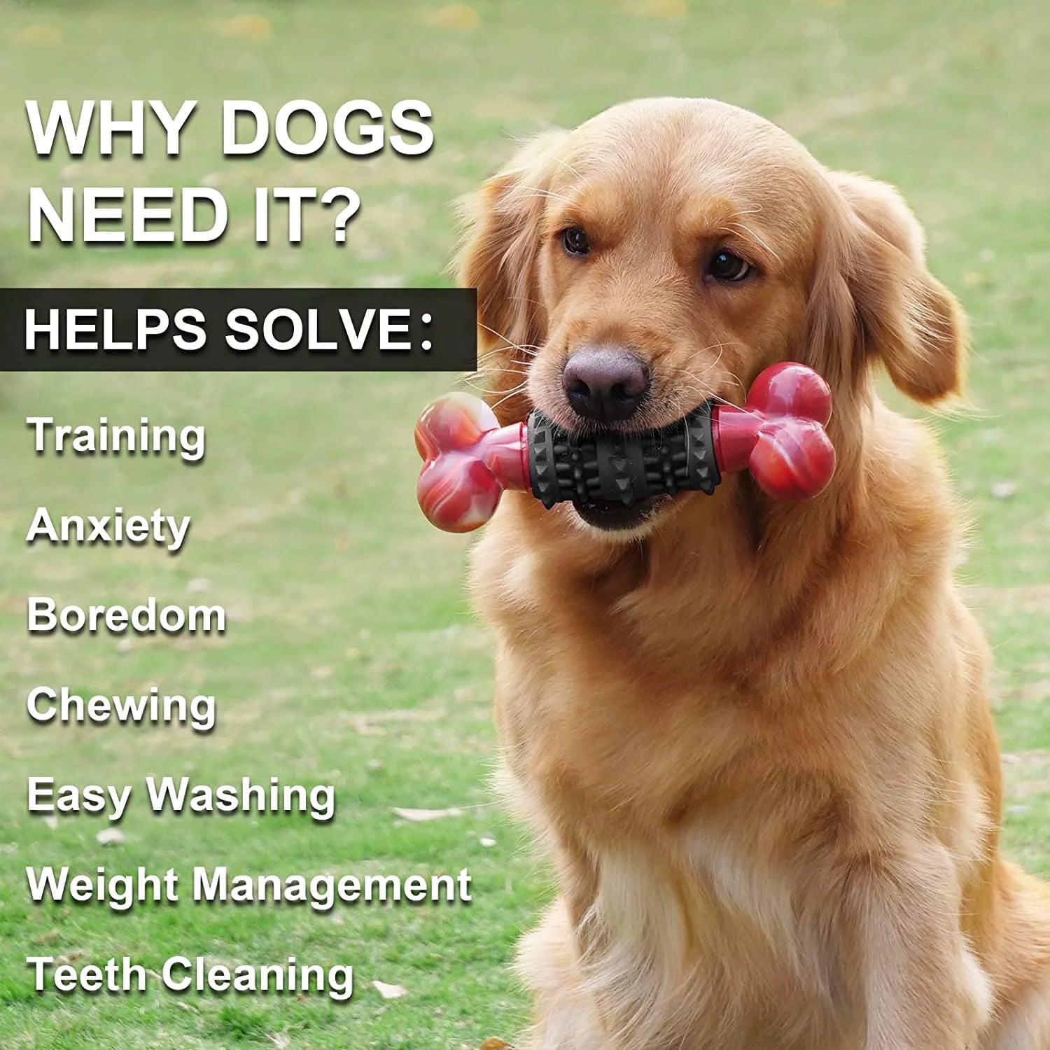 Indestructible Dog Toy – Durable Bone Chew Toy for Aggressive Chewers, Interactive Play for Medium & Large Dogs (Dinosaur Design)