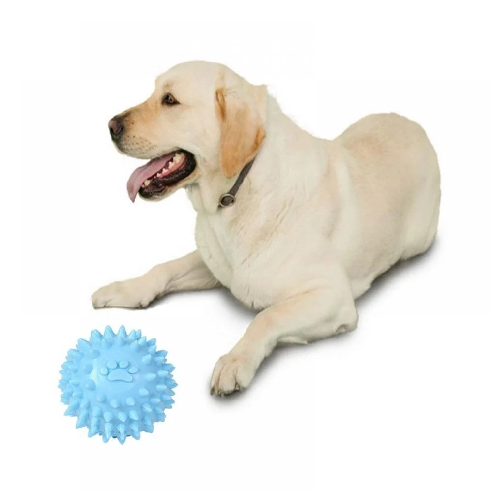 Small Dog Toy Balls – Rubber Spike Fetch & Chew Toys for Puppies, Teething Relief, Cute Colors (Blue)