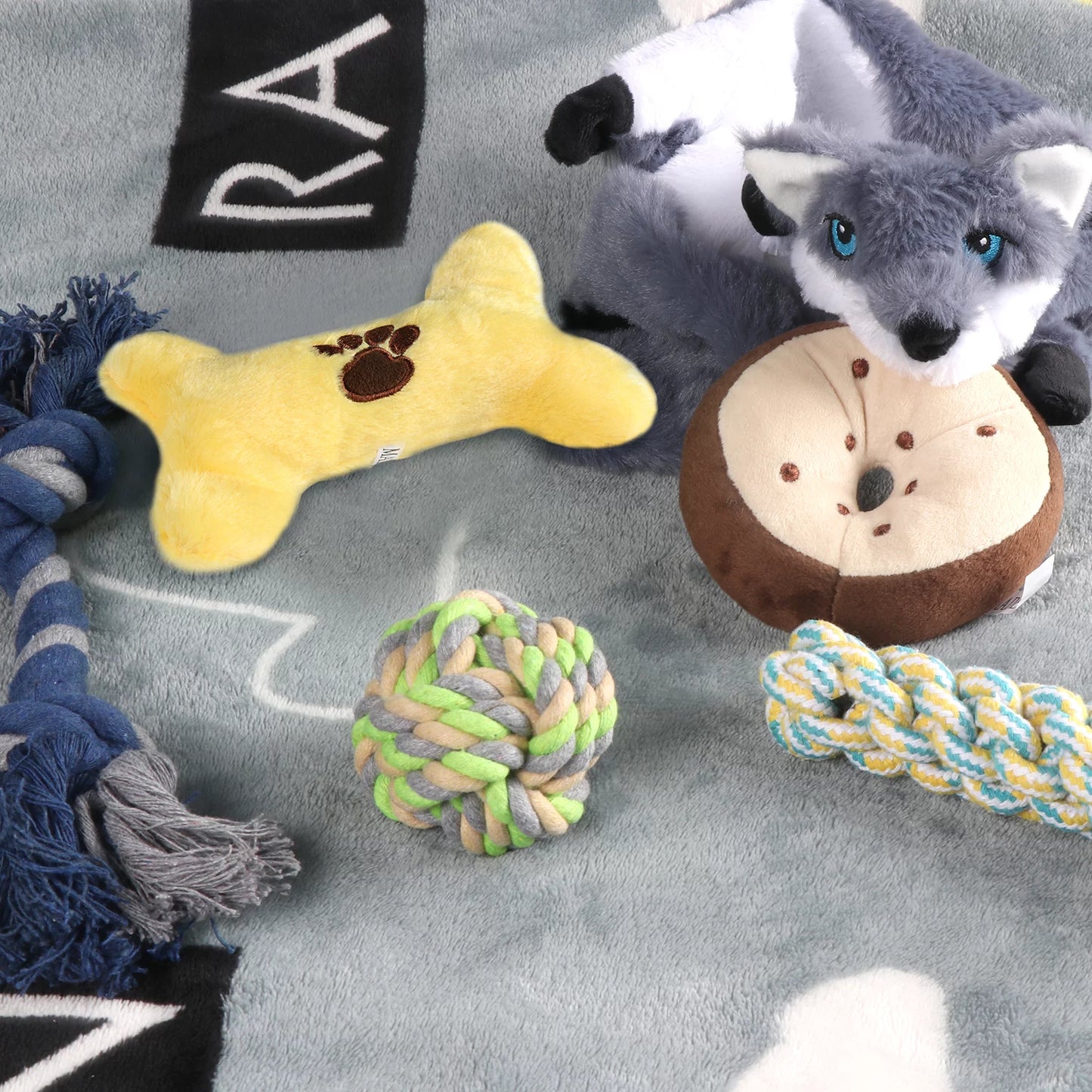 Dog Toy Set – 6 Pack Plush Squeaky & Rope Chew Toys for Small & Medium Dogs, Interactive & Teeth Cleaning