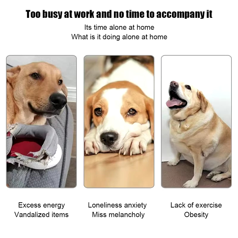 Automatic Dog Ball Launcher – Interactive Tennis Ball Throwing Machine with 6 Balls, Rechargeable Pet Toy