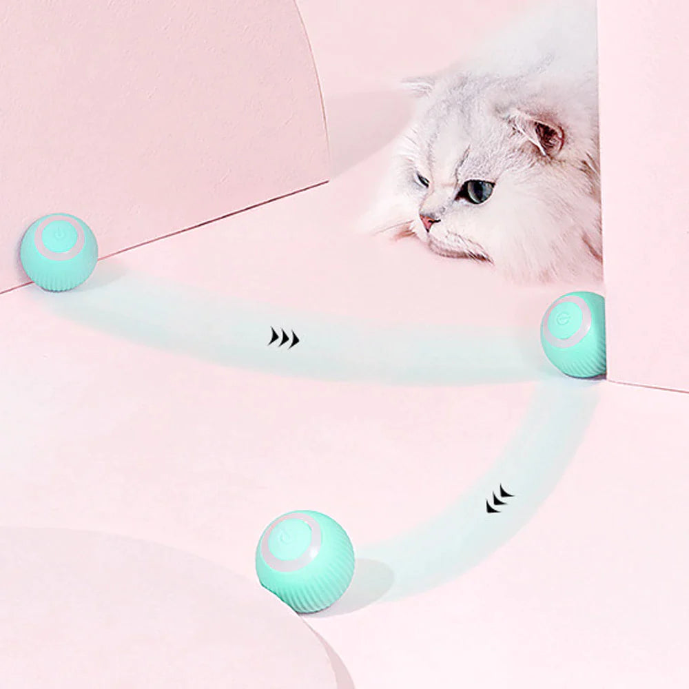 SmartPaws Interactive Self-Rolling Cat Ball Toy - Electric, Automatic, Pet Training & Fun