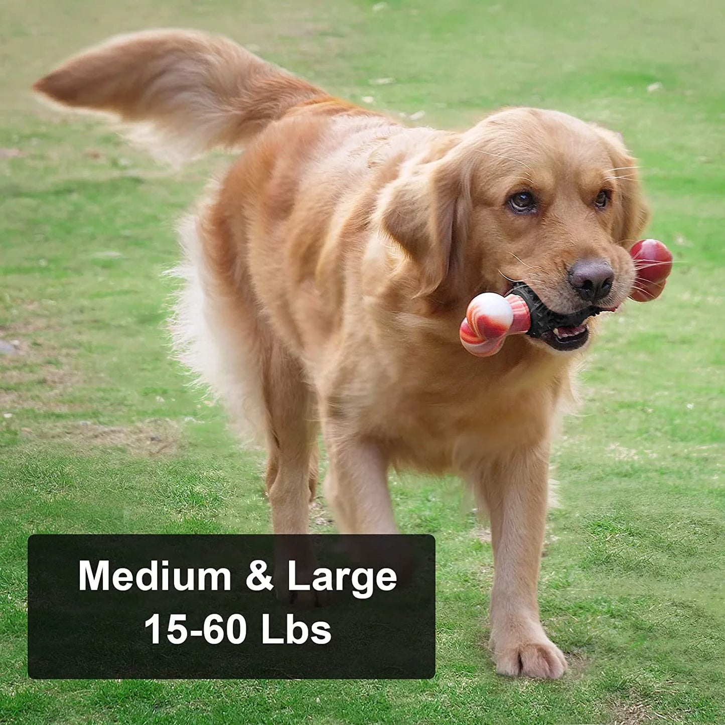Indestructible Dog Toy – Durable Bone Chew Toy for Aggressive Chewers, Interactive Play for Medium & Large Dogs (Dinosaur Design)