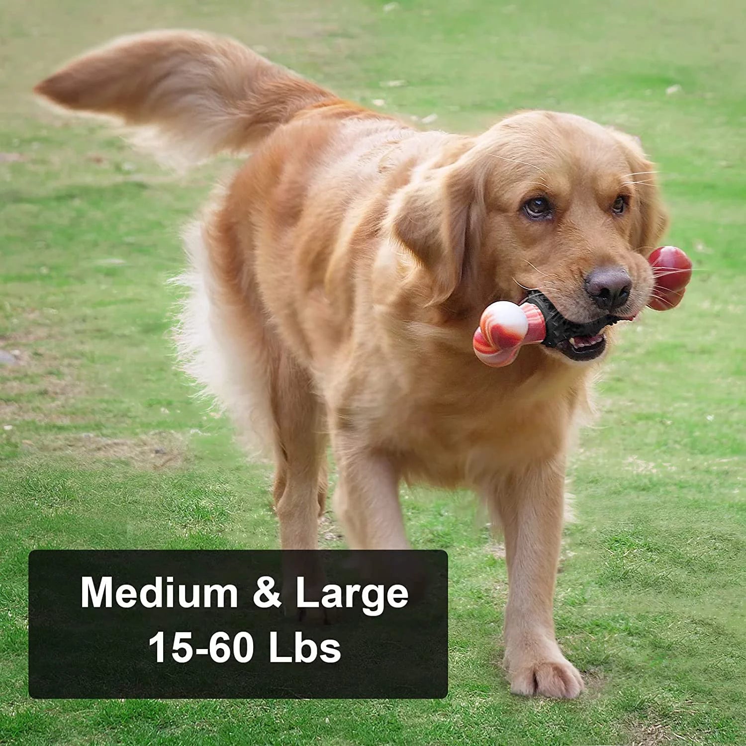 Indestructible Dog Toy – Durable Bone Chew Toy for Aggressive Chewers, Interactive Play for Medium & Large Dogs (Dinosaur Design)